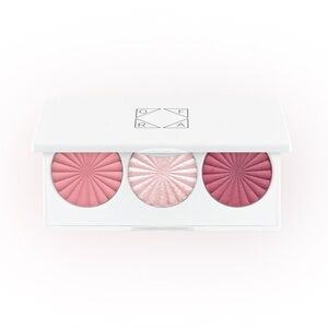 NEW OFRA Cosmetics Midi Palette in Blossom Blush